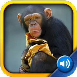 Toddler Tapping Zoo